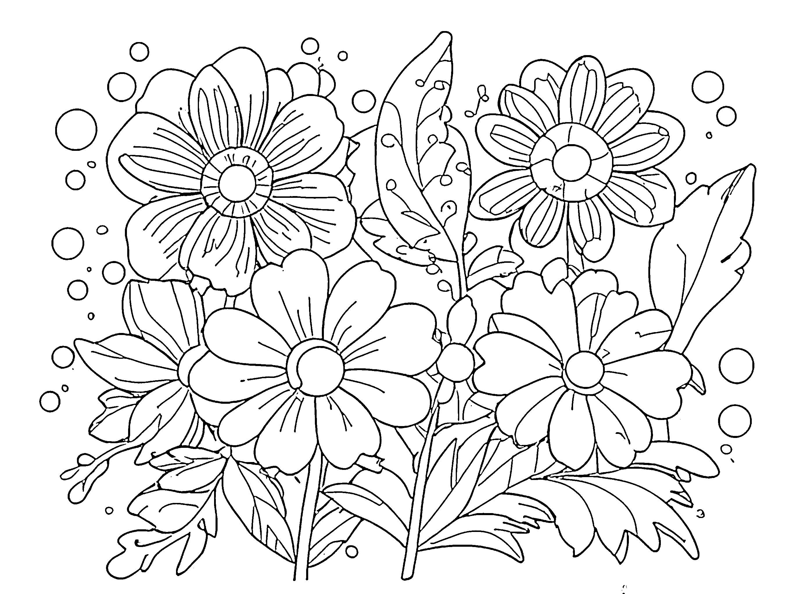 gambar bunga Flowers 2